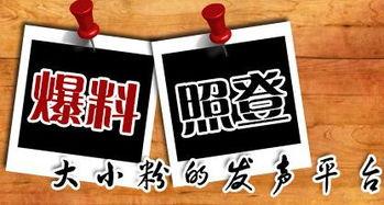 最新重庆爆料新闻,揭秘神秘事件背后的真相